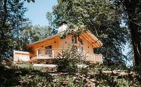 The Woodpecker Lodge